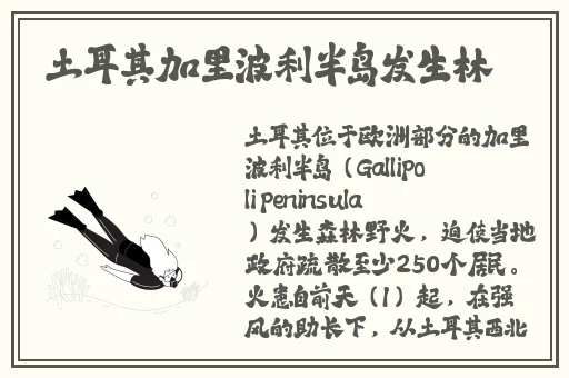 俺也去官网